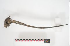 Foto von Bronzeantennenschwert (NHMW-PRAE-024567)
